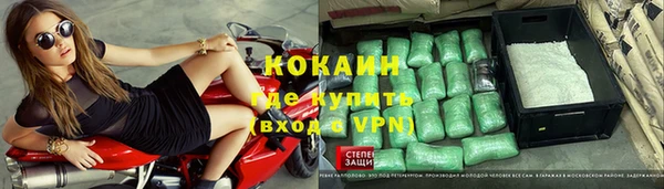 трава Белокуриха