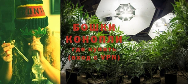 трава Белокуриха