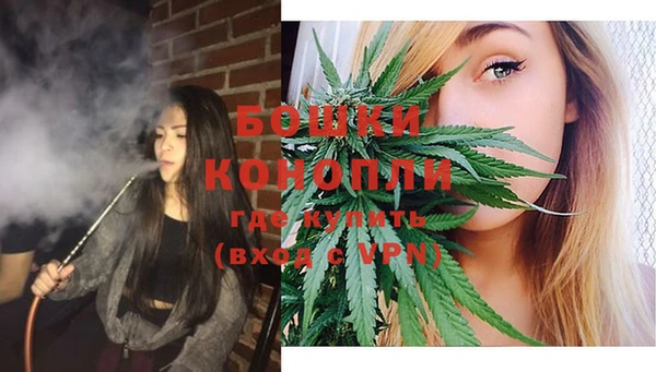 трава Белокуриха
