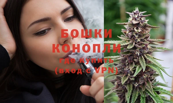трава Белокуриха