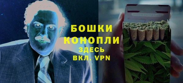 трава Белокуриха
