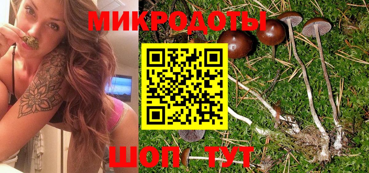 Псилоцибиновые грибы Psilocybine cubensis Верхний Уфалей
