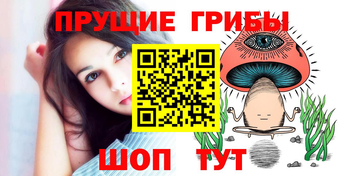 Галлюциногенные грибы GOLDEN TEACHER  Верхний Уфалей  как найти наркотики  Псилоцибиновые грибы Psilocybine cubensis 